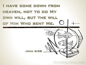 John 6:38